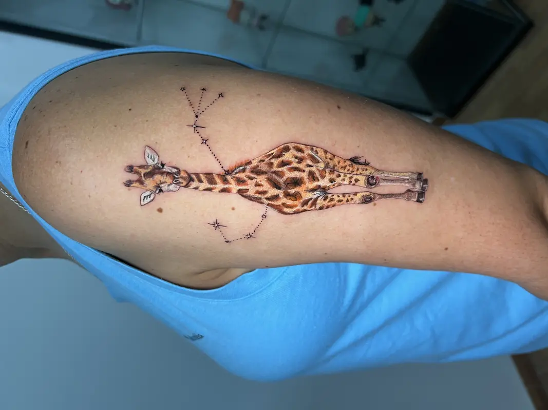 Jirafa a color en perspectiva tumbada, acompañada de constelaciones y puntos tipo mapa estelar.