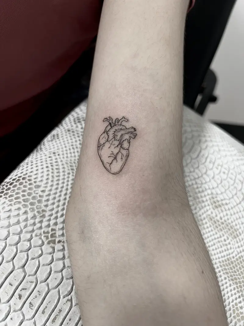 Corazón anatómico en tamaño mini, con sombreado suave y detalle de línea fina.