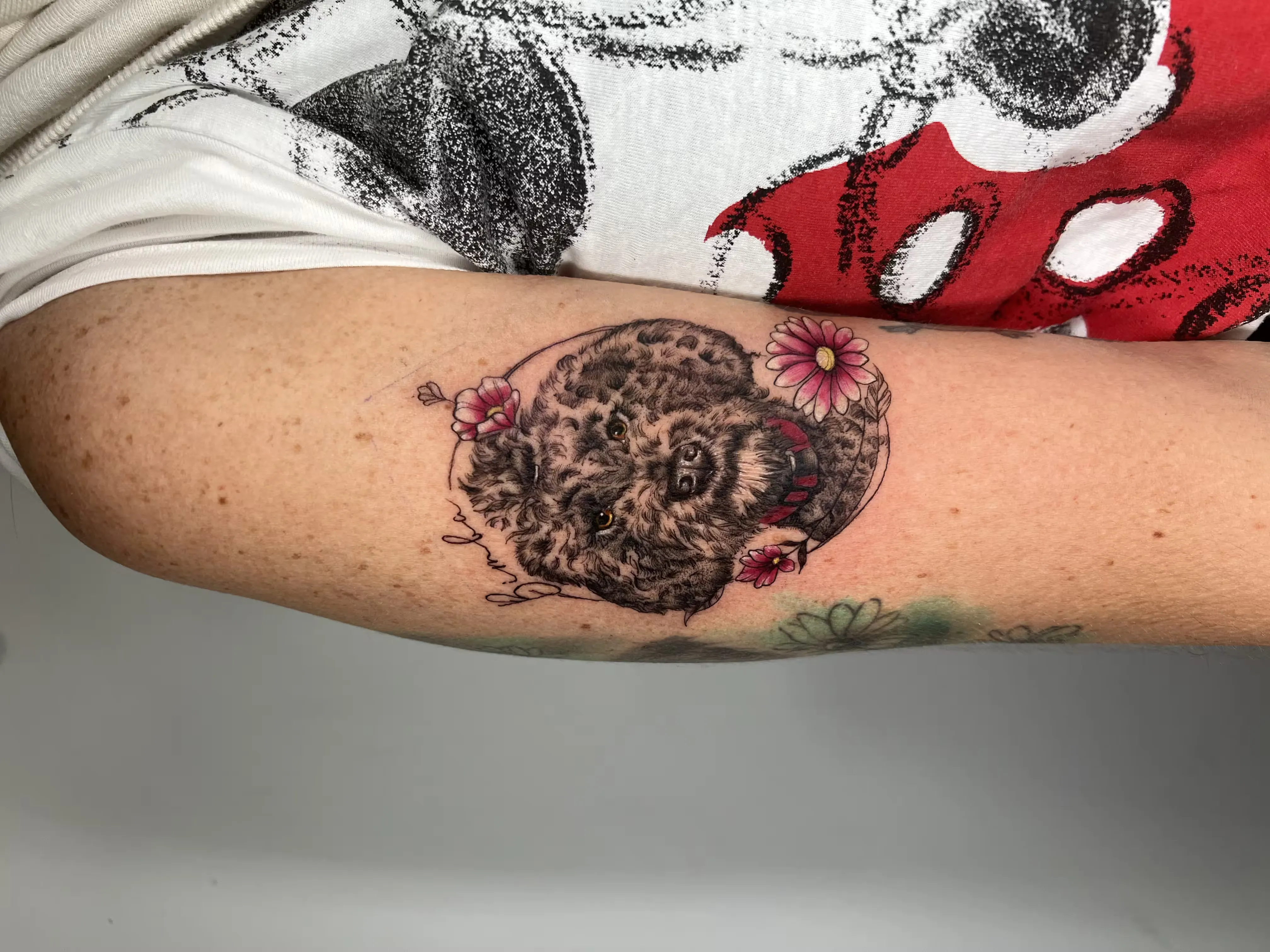 Retrato a color de perro de pelo rizado dentro de un óvalo, decorado con flores rosas y detalles finos.